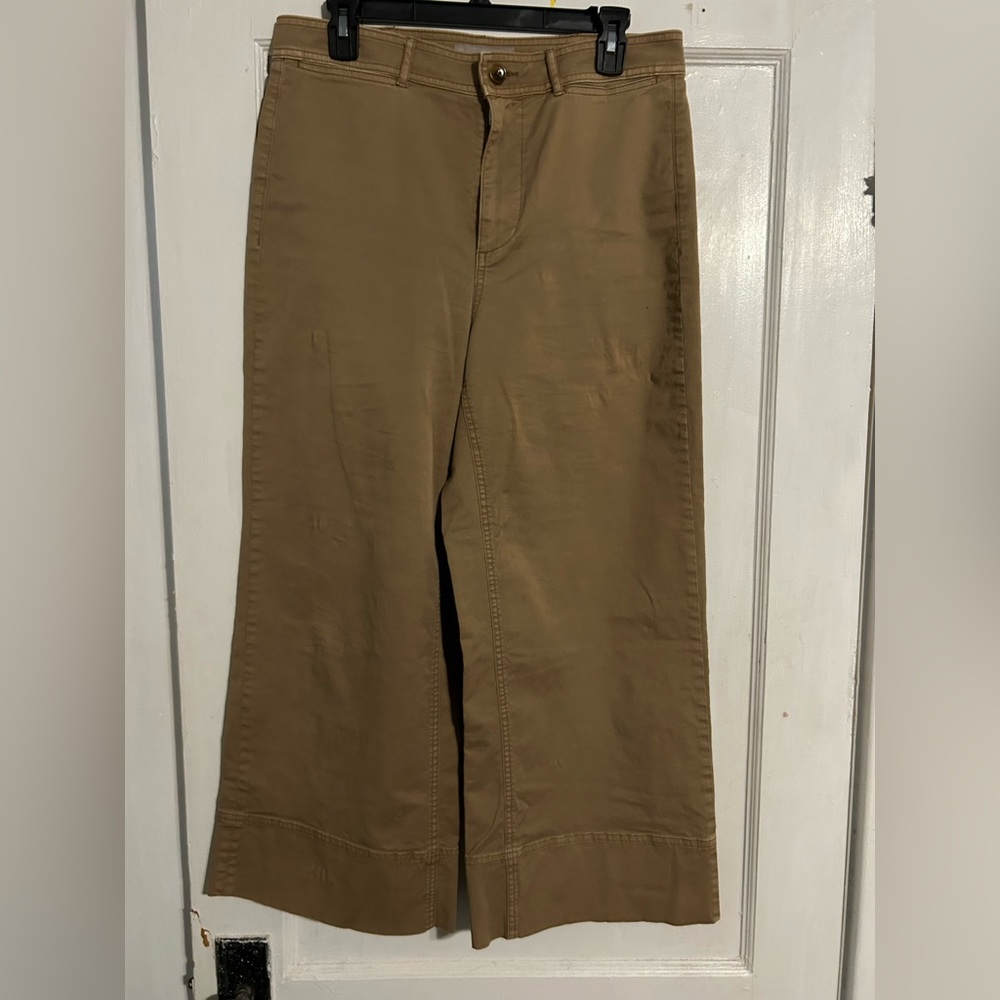 Everlane Women's Tan Chinos